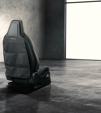 Sēdekļa atzveltnes aizmugures aizsargs