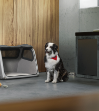 Bagāžas nodalījuma kaste suņiem L