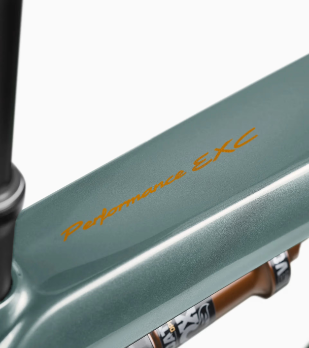 Porsche E-Bike Cross Performance